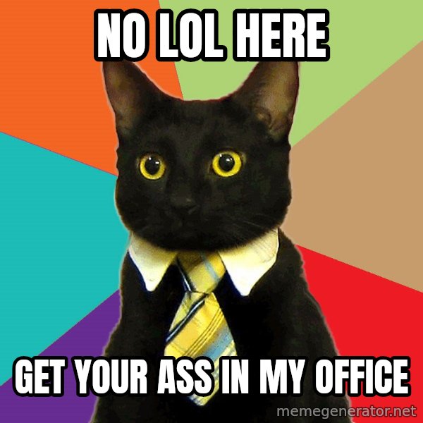 Business Cat meme: no lol here / get your ass in my office