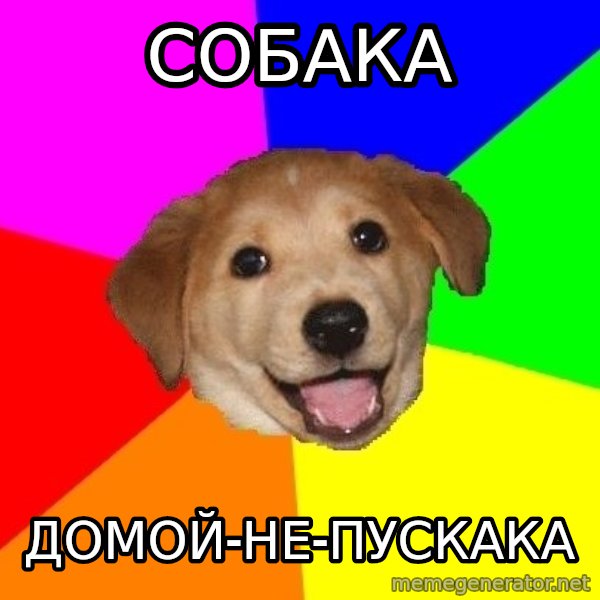 Advice Dog meme: собака / домой-не-пускака