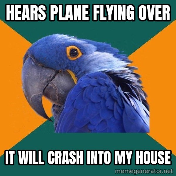 Paranoid Parrot meme: hears PLANE FLYING over / it WILL CRASH into MY HOUSE