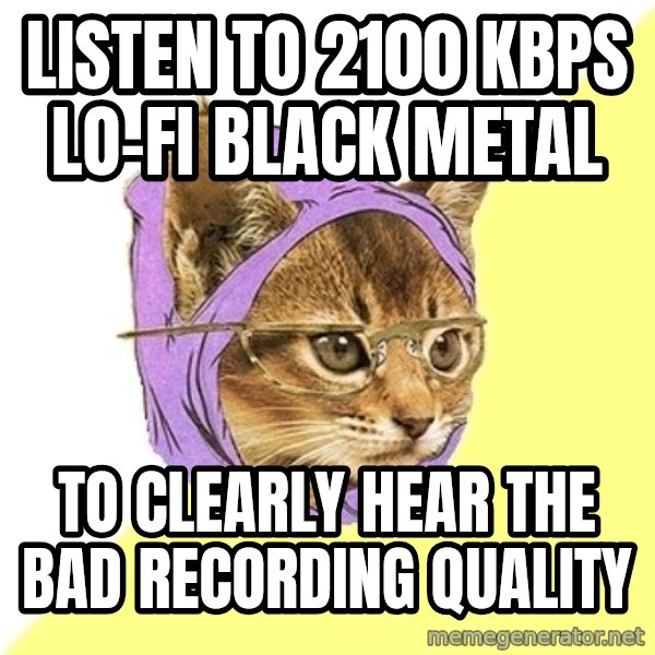 Hipster Kitty meme: Listen to 2100 KBPS lo-fi black metal / to clearly hear the bad recording quality