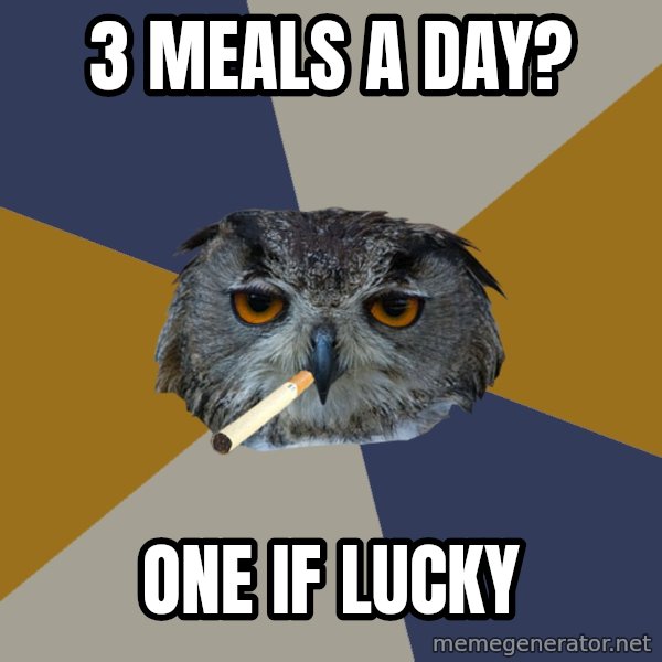 Art Student Owl meme: 3 meals a day? / one if lucky