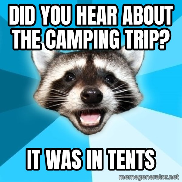 Lame Pun Coon meme: DID YOU HEAR ABOUT THE CAMPING TRIP? / IT WAS IN TENTS
