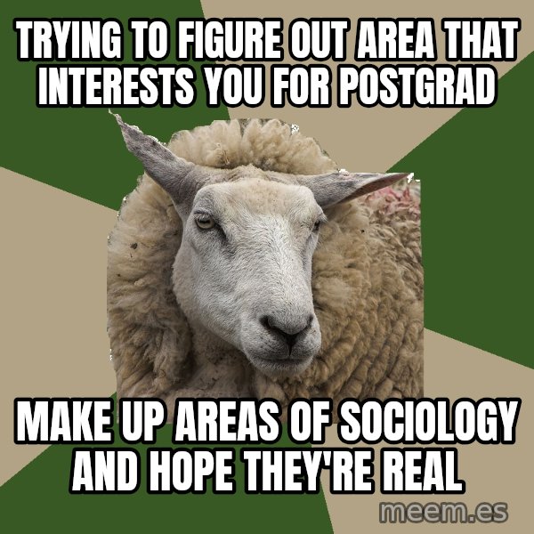 Sociology Student Sheep meme: trying to figure out area that interests you for postgrad / make up areas of sociology and hope they're real