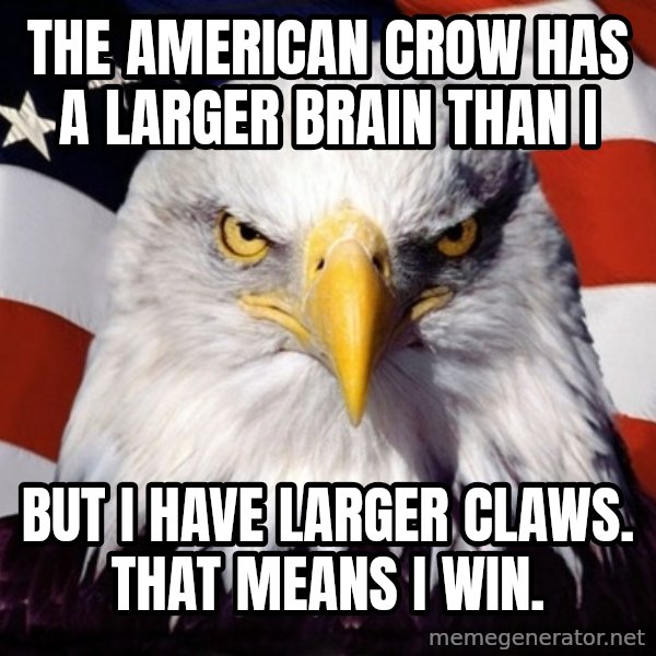 American Pride Eagle meme: The American crow has a larger brain than I / but i have larger claws. That means I win.