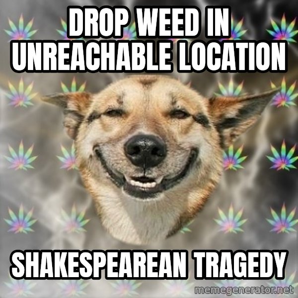 Stoner Dog meme: drop weed in unreachable location / shakespearean tragedy