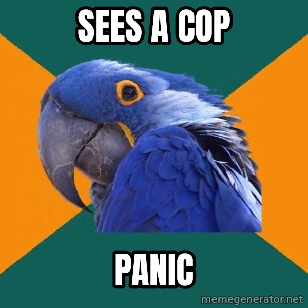 Paranoid Parrot meme: sees a cop / panic