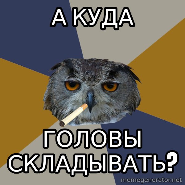Art Student Owl meme: А куда / головы складывать?