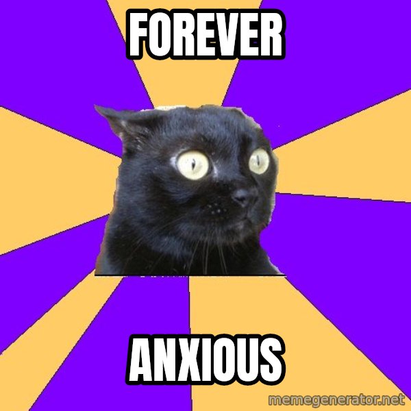 Anxiety Cat meme: forever / anxious