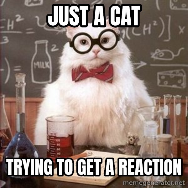 Chemistry Cat meme: Just a cat / trying to get a reaction