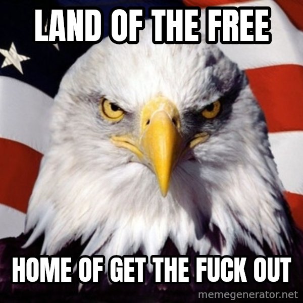 American Pride Eagle meme: land of the free / home of get the fuck out