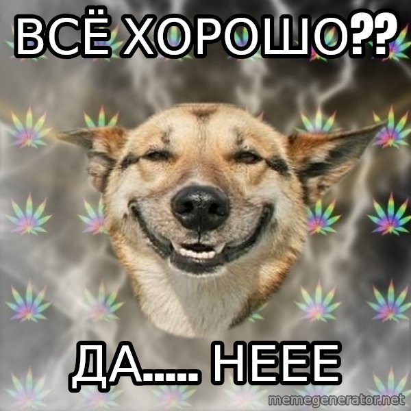 Stoner Dog meme: ВСЁ ХОРОШО?? / ДА..... НЕЕЕ