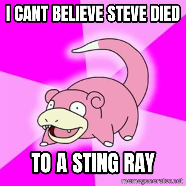 Slowpoke meme: I cant believe Steve died / to a sting ray