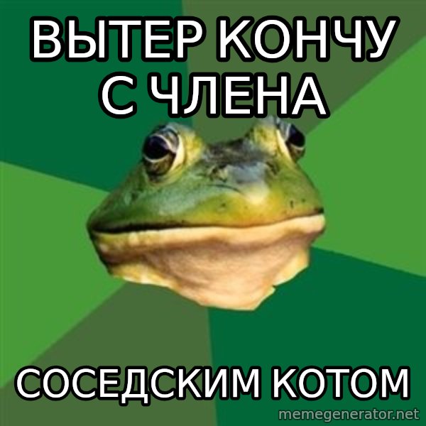 Foul Bachelor Frog meme: Вытер кончу с члена / соседским котом