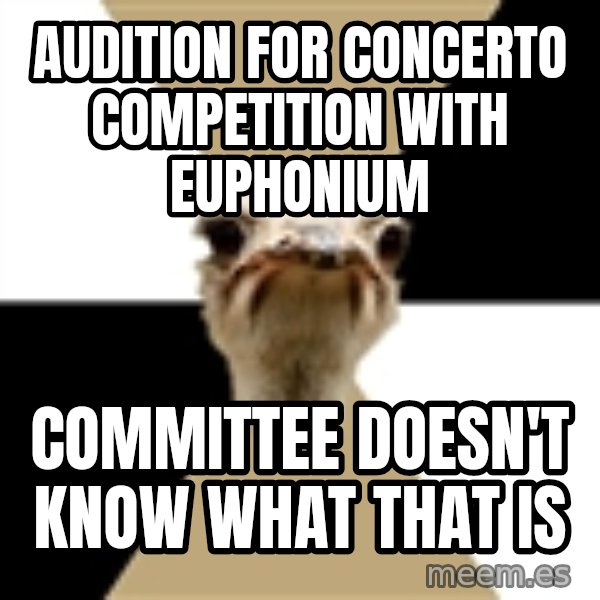 Music Major Ostrich meme: audition for concerto competition with euphonium / committee doesn't know what that is