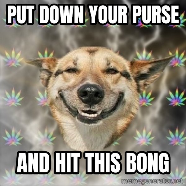 Stoner Dog meme: Put down your purse / and hit this bong