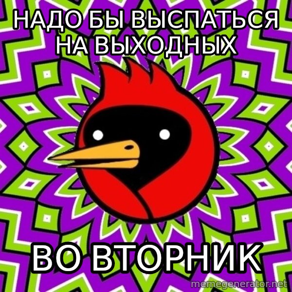 Omsk Crow meme: Надо бы выспаться на выходных / во вторник