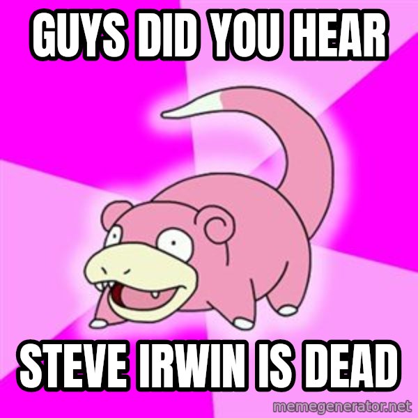 Slowpoke meme: Guys did you hear / Steve IRWIN is dead