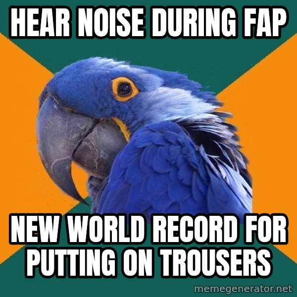 Paranoid Parrot meme: hear noise during fap / NEW world record for putting on trousers