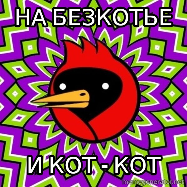 Omsk Crow meme: на безкотье / и кот - кот