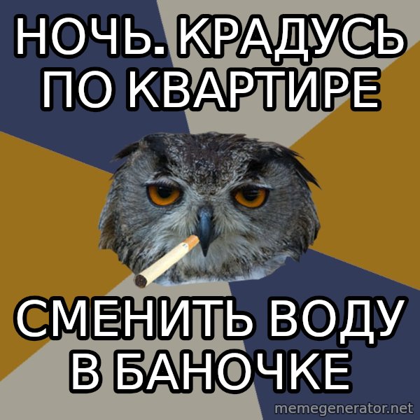 Art Student Owl meme: ночь. крадусь по квартире / сменить воду в баночке