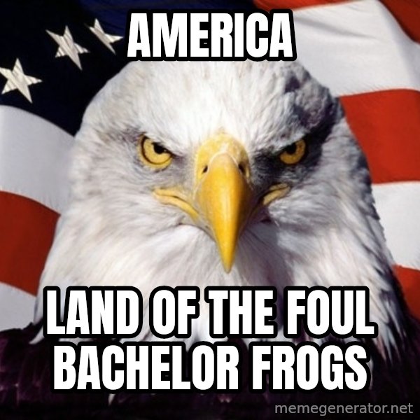 American Pride Eagle meme: america / land of the foul bachelor frogs