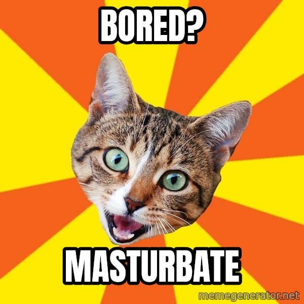 Bad Advice Cat meme: Bored? / Masturbate
