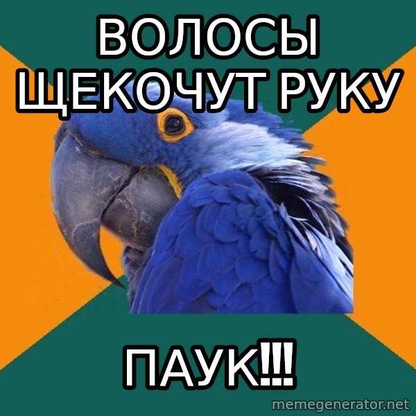Paranoid Parrot meme: ВОЛОСЫ ЩЕКОЧУТ РУКУ / паук!!!
