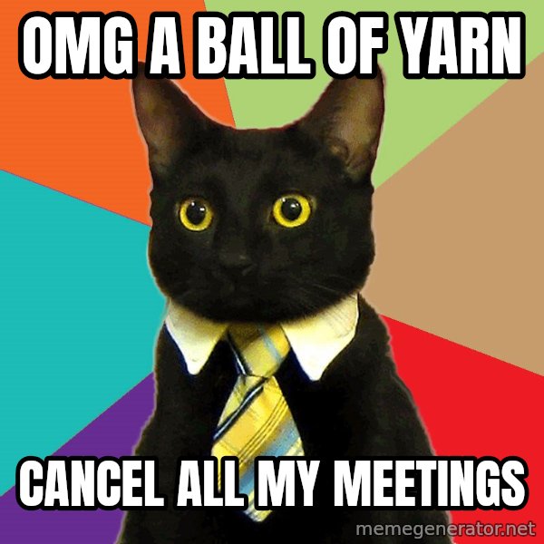 Business Cat meme: OMG A BALL OF YARN / CANCEL ALL MY MEETINGS