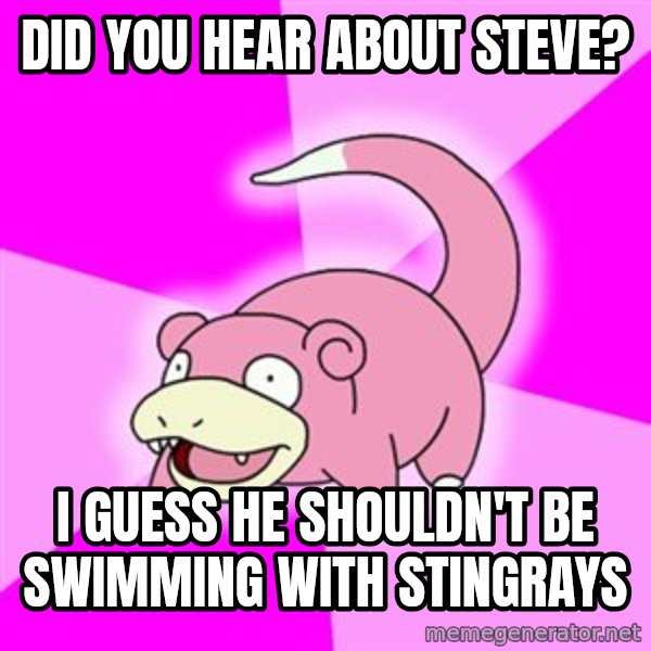 Slowpoke meme: DiD you hear about steve? / I guess he shouldn't be swimming with stingrays