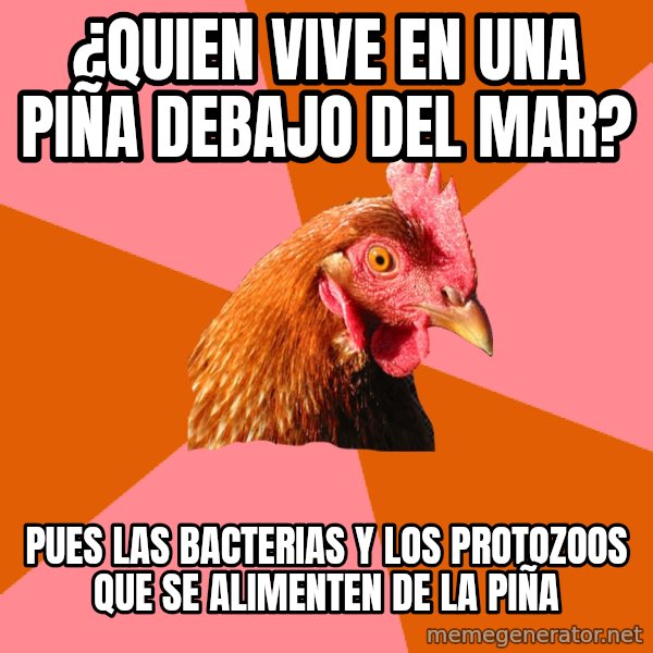 Anti Joke Chicken meme: ¿Quien vive en una piña debajo del mar? / pues las bacterias y los protozoos que se alimenten de la piña
