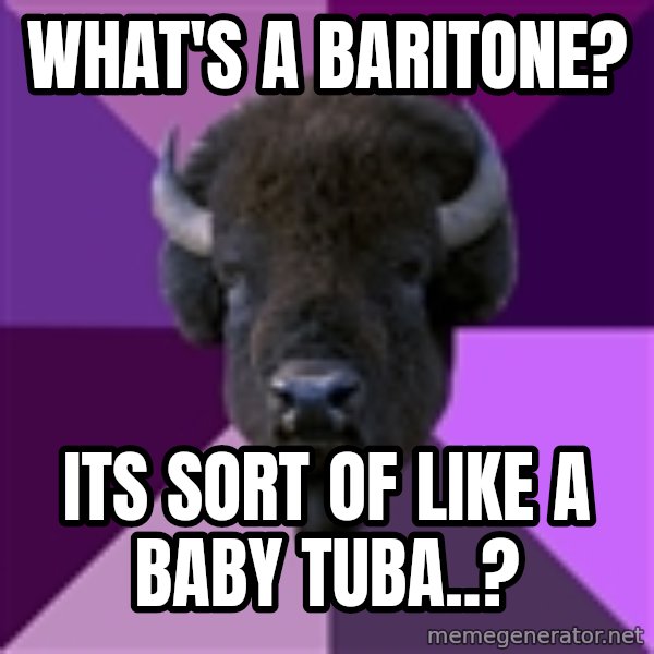 Fuck Yeah Band Buffalo meme: what's a baritone? / its sort of like a baby tuba..?