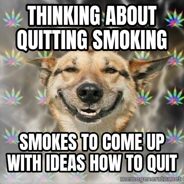 Stoner Dog meme: thinking about quitting smoking / smokes to come up with ideas how to quit