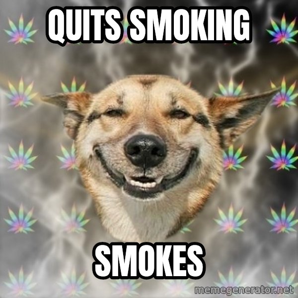 Stoner Dog meme: Quits smoking / smokes