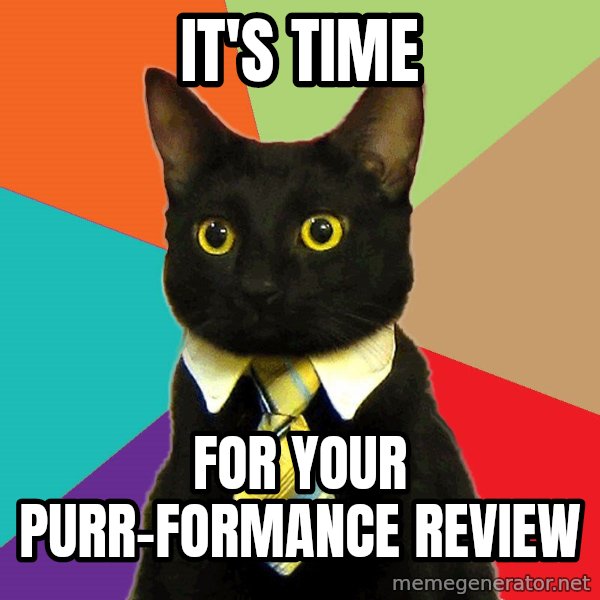 Business Cat meme: It's time / for your purr-formance review