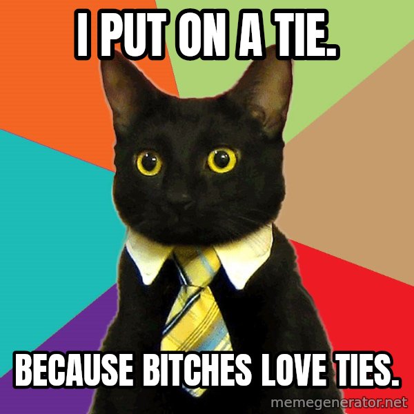 Business Cat meme: i put on a tie. / because bitches love ties.