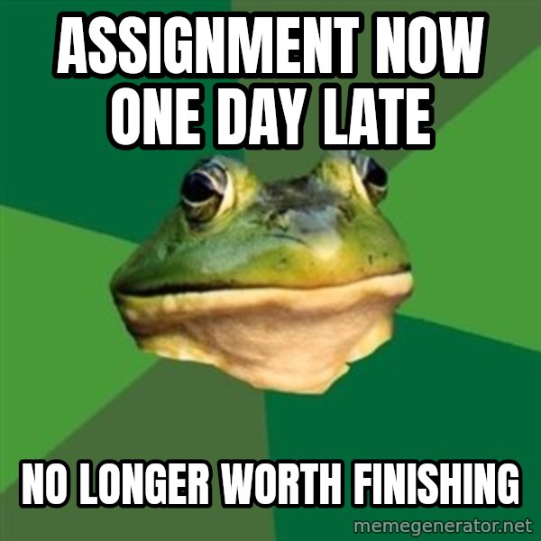 Foul Bachelor Frog meme: Assignment now one day late / no longer worth finishing
