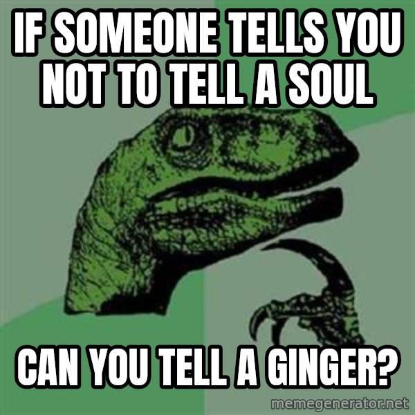 Philosoraptor meme: if someone tells you not to tell a soul / can you tell a ginger?