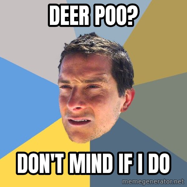 Bear Grylls meme: deer poo? / don't mind if i do