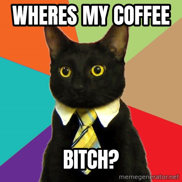 Business Cat meme: Wheres my coffee / bitch?