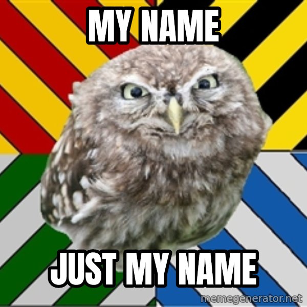 JEALOUS POTTEROMAN meme: My name / just my name