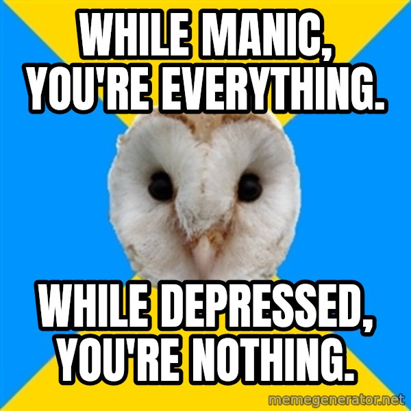 Bipolar Owl meme: While manic, you're everything. / While depressed, you're nothing.