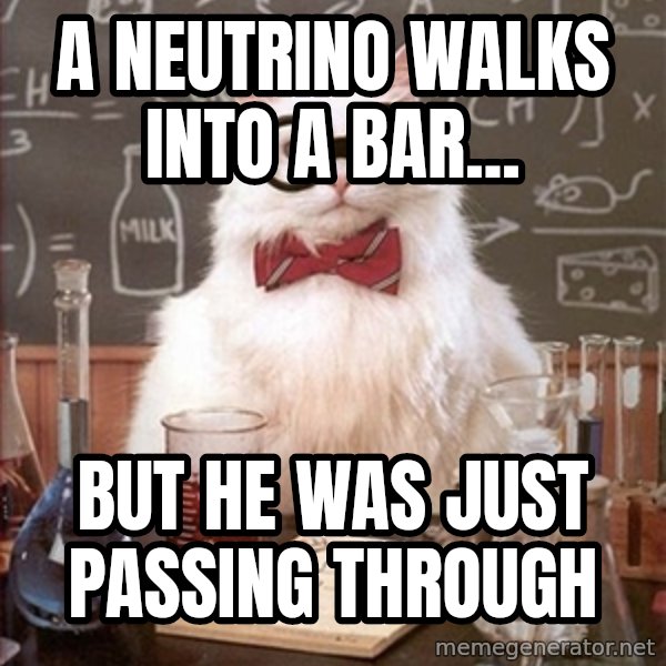 Science Cat meme: A Neutrino walks into a bar... / but he was just passing through
