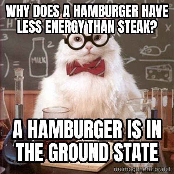 Science Cat meme: Why does a hamburger have less energy than steak? / a hamburger is in the ground state