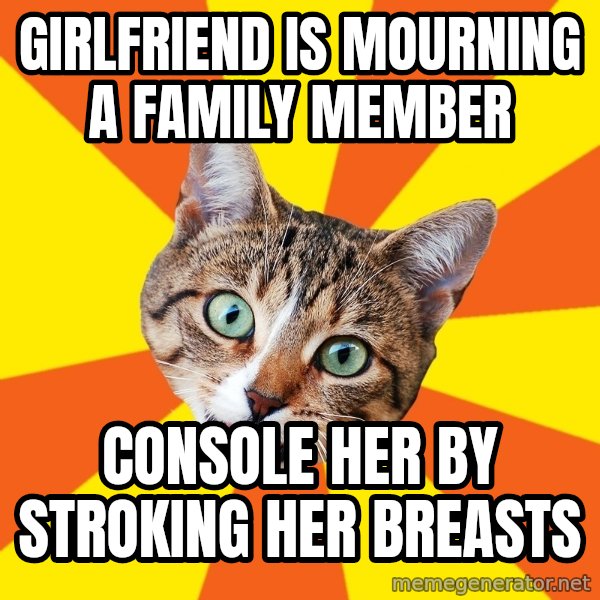 Bad Advice Cat meme: girlfriend is mourning a family member / console her by stroking her breasts