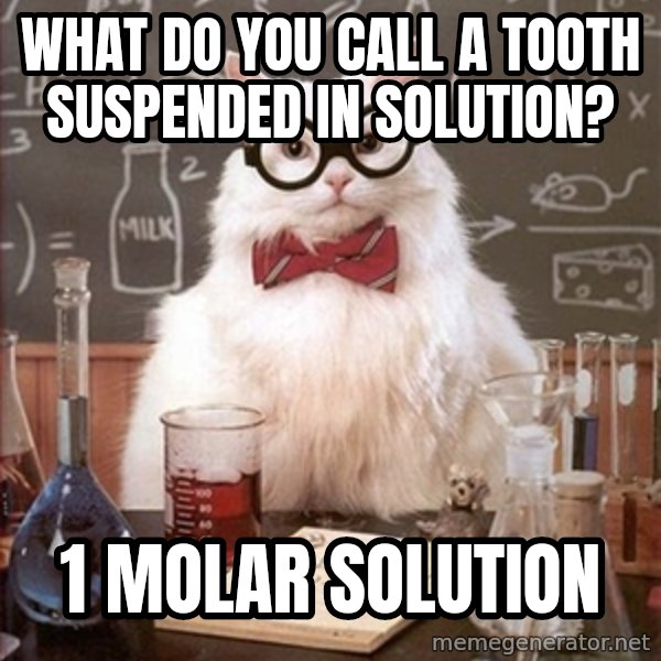 Science Cat meme: What do you call a tooth suspended in solution? / 1 molar solution
