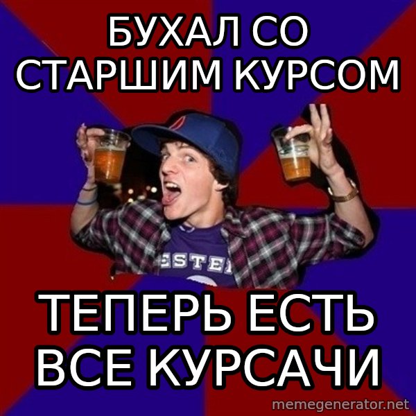 Sunny Student meme: бухал со старшим курсом / теперь есть   все курсачи