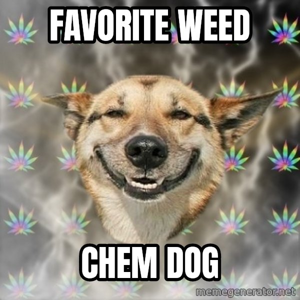 Stoner Dog meme: Favorite weed / chem dOg