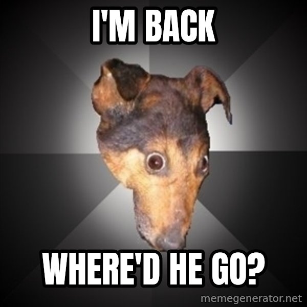 Depression Dog meme: I'm back / where'd he go?