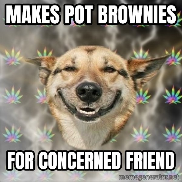 Stoner Dog meme: makes pot brownies / for concerned friend