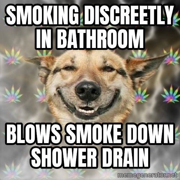 Stoner Dog meme: Smoking discreetly in bathroom / blows smoke down shower drain